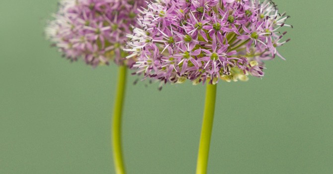 Child, Youth & Family Therapy