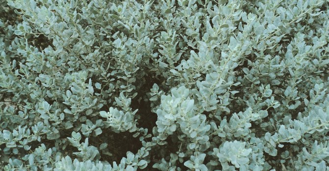 Child, Youth & Family Therapy