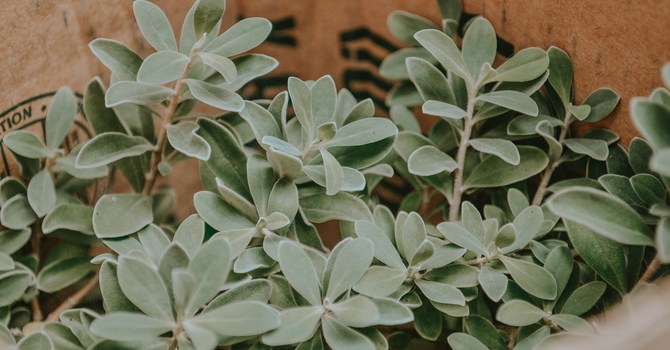 Child, Youth & Family Therapy