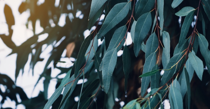 Child, Youth & Family Therapy